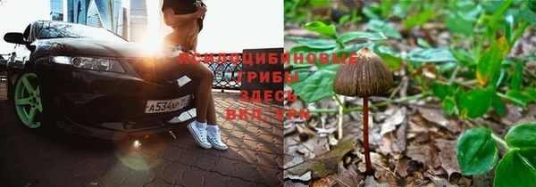 МДМА Беломорск
