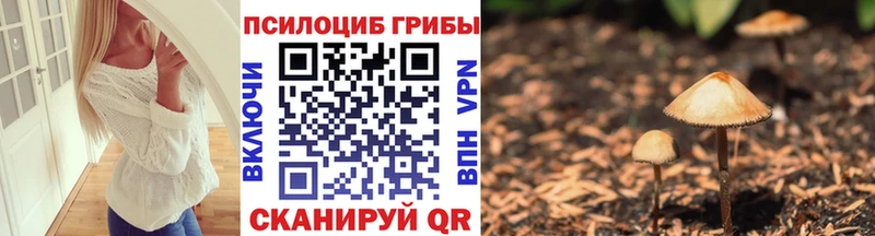 Псилоцибиновые грибы Cubensis  Гремячинск 